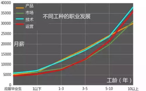 學什么技術最賺錢？互聯網行業薪酬深度解析 聚焦信息技術開發與運營